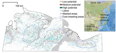 Increasing Arctic Tundra Flooding Threatens Wildlife Habitat and Survival: Impacts on the Critically Endangered Siberian Crane (Grus leucogeranus)